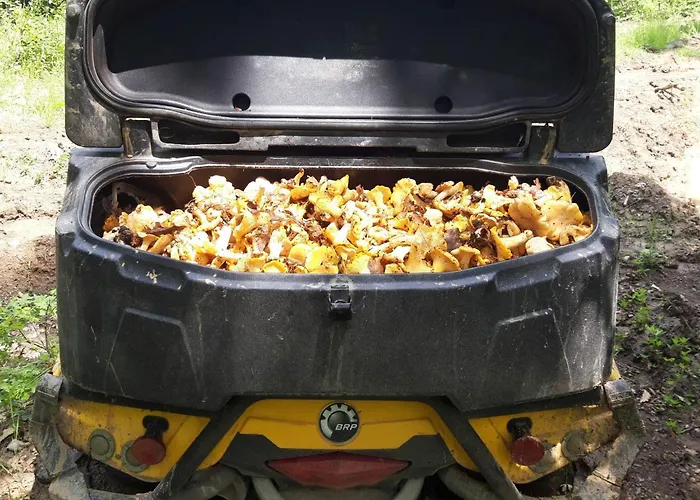 Todorovic & Bazen Velerec